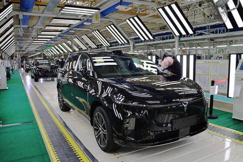 嵐圖汽車雙工廠火力全開，單日產能突破800輛，加速布局汽車市場